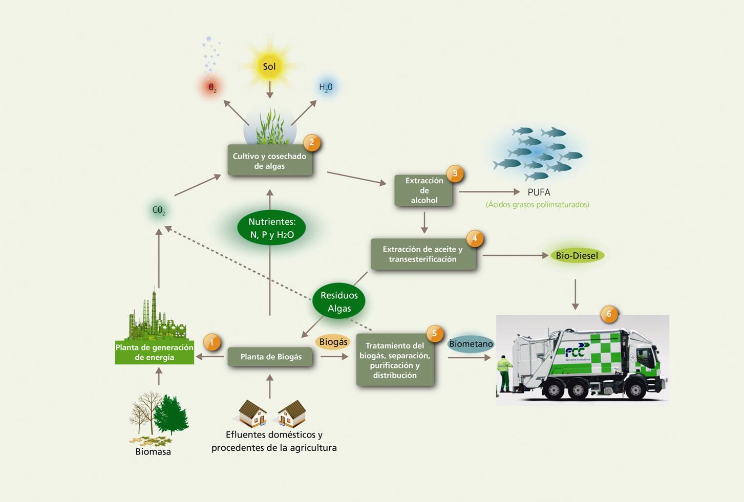 Aqualia lidera un proyecto europeo para obtener biocombustibles con la depuración de aguas residuales