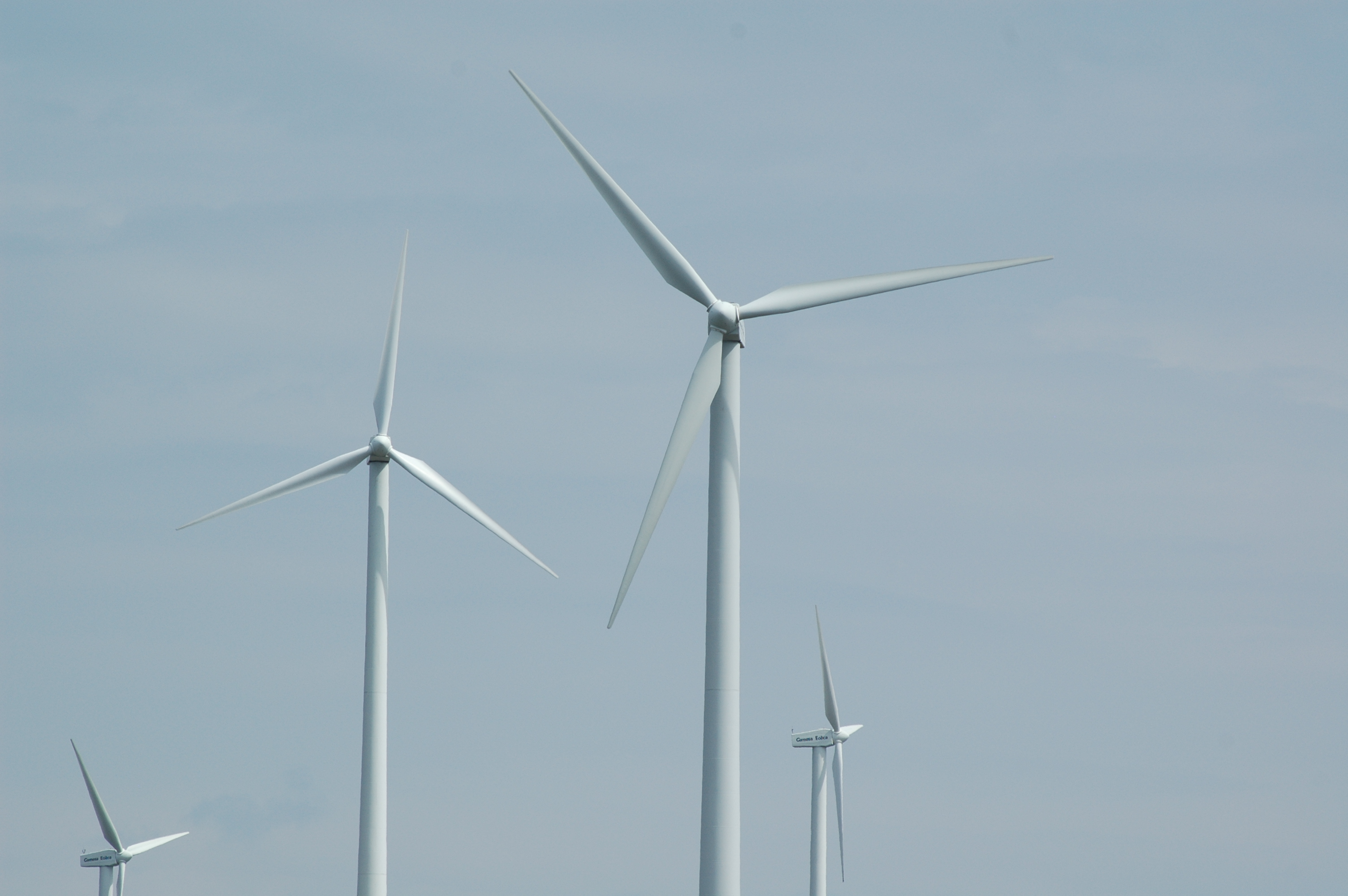 WRG secures first wind farm planning approval