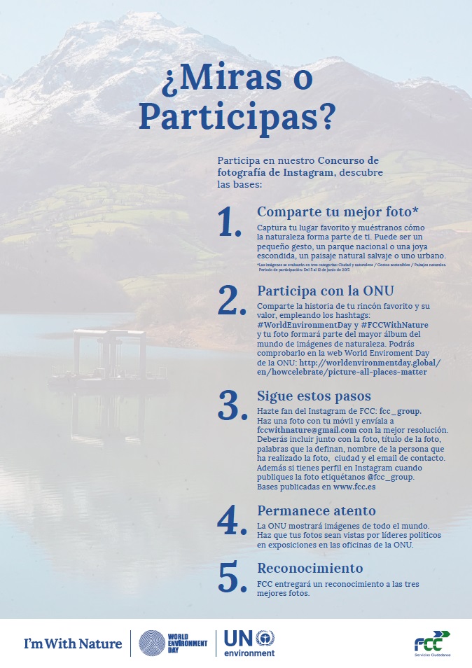 Cartel Bases del Concurso