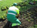 Maintenance of parks and gardens, Valdemoro. Madrid