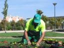 Maintaining parks and gardens, Valdemoro. Madrid