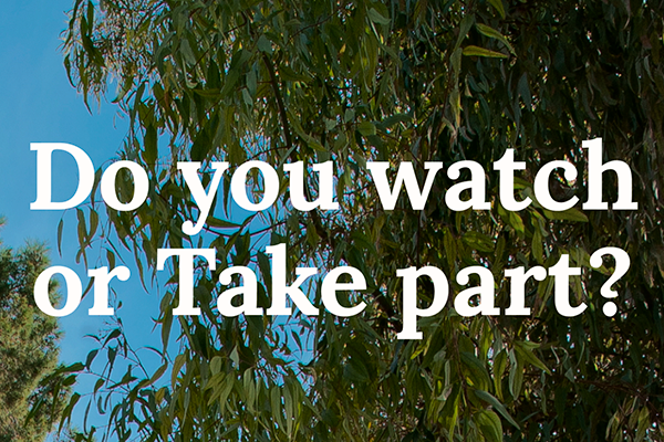 Do you Watch or Take Part?, FCC's awareness-raising campaign for International SDG Week