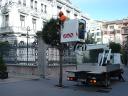 Tree pruning at height Oviedo (Spain)