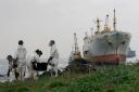 Limpieza y descontaminación Bahía Algeciras (España)